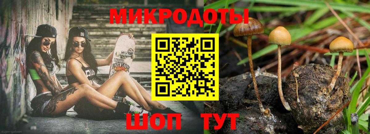 Избербаш  Псилоцибиновые грибы Psilocybe  Вход с VPN 